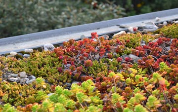 the cost of Bradninch green roof installation