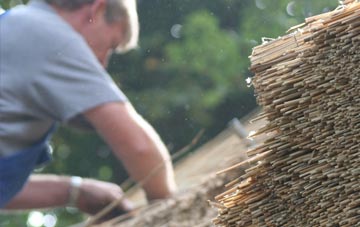 professional Bradninch thatchers